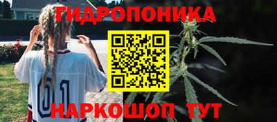 прущий лед Гатчина