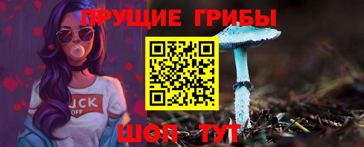 Сегежа  Галлюциногенные грибы Magic Shrooms  Псилоцибиновые грибы Magic Shrooms  Вход с VPN 